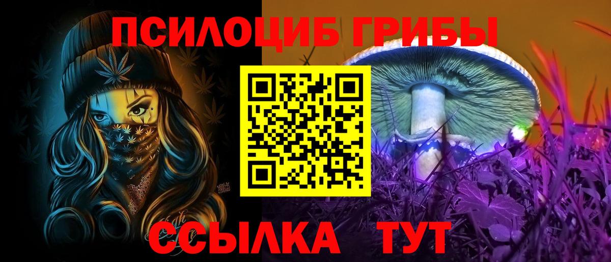 Бийск  Псилоцибиновые грибы Psilocybine cubensis  Псилоцибиновые грибы GOLDEN TEACHER  Вход с VPN 